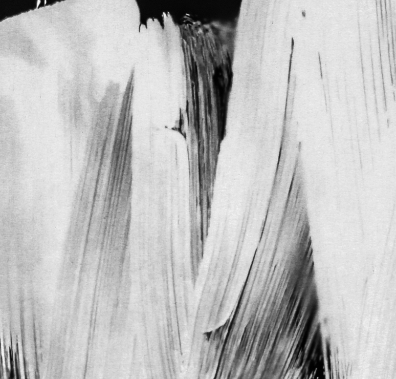 크라이술러의 사랑의 기쁨 10