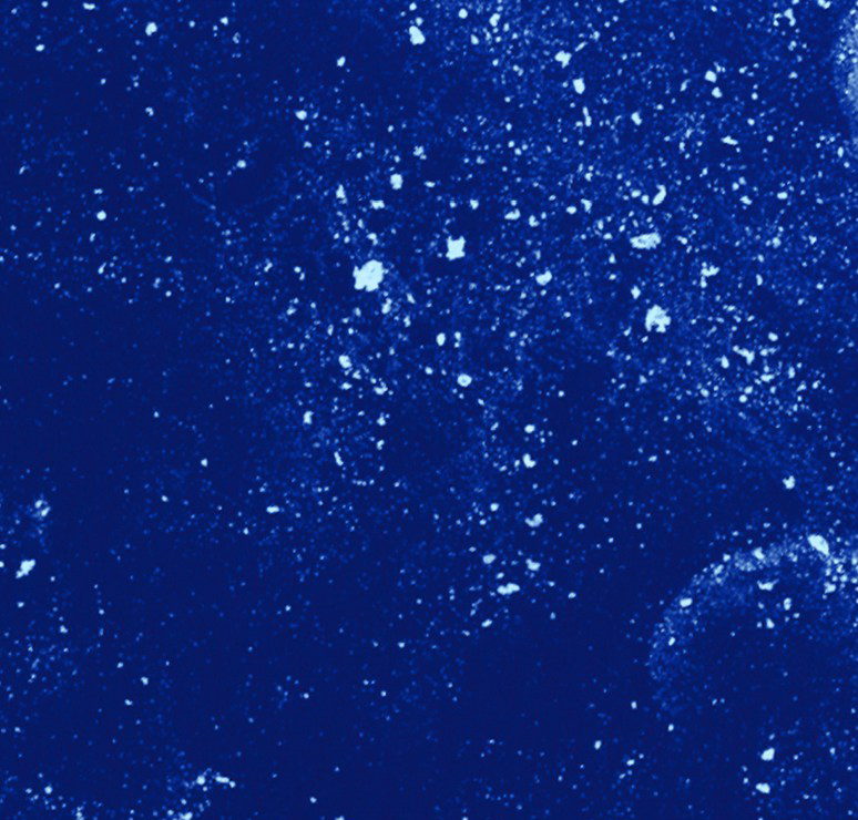 크라이술러의 사랑의 기쁨 9